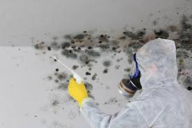 Mold Removal for HVAC Installations in Augusta, ME